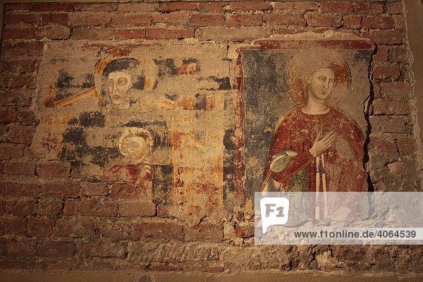 Fresken in der Basilica San Zeno Maggiore in Verona  Italien  Europa