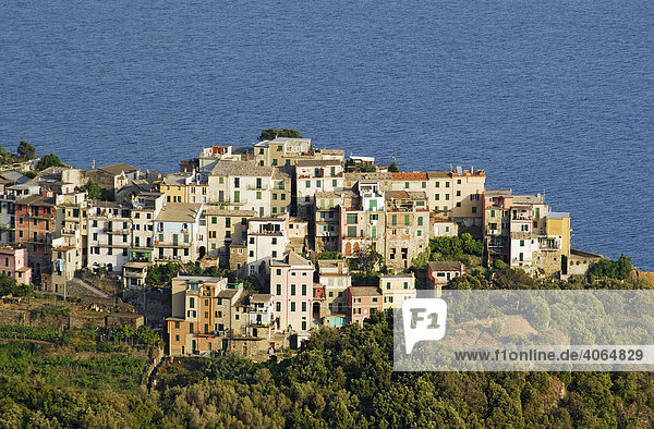 Dorf Corniglia an einer Klippe  eines der fünf Dörfer von Cinque Terre  Ligurien  Mittelmeer  Italien  Europa