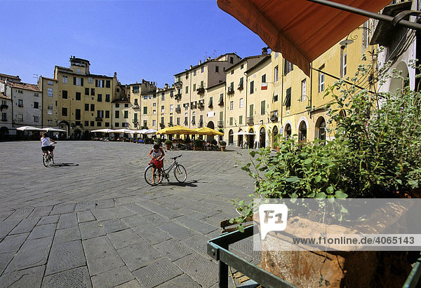Piazza del Anfiteatro  Piazza Mercato  Amphitheater  Lucca  Toskana  Italien  Europa