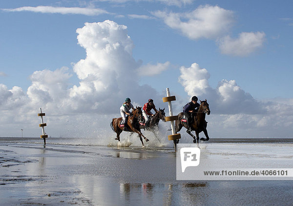 Reiter  Galopprennen  Duhner Wattrennen 2008  weltweit einziges Pferderennen auf dem Meeresgrund  Cuxhaven  Niedersachsen  Deutschland  Europa