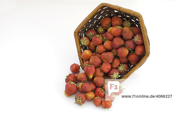 Tipped over basket of strawberries