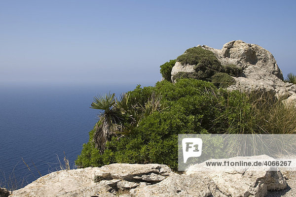 View from the lookout point  Mirador des Colomer on Cap Formentor  Majorca  Balearic Islands  Spain  Europe