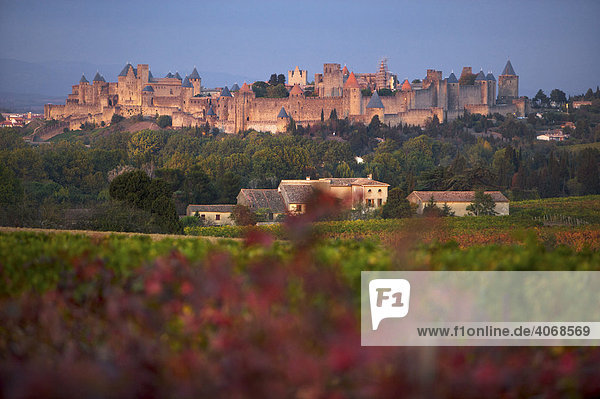 Carcassonne in evening light  Languedoc-Roussillon  France  Europe