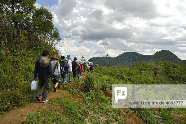 Tourists on a trekking tour in front of the Phu Fa Mountain  Phongsali Province  Laos  Southeast Asia