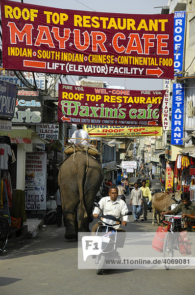 Colorful banners over an elephant  moped and people in a street in Udaipur  Rajasthan  India  Asia