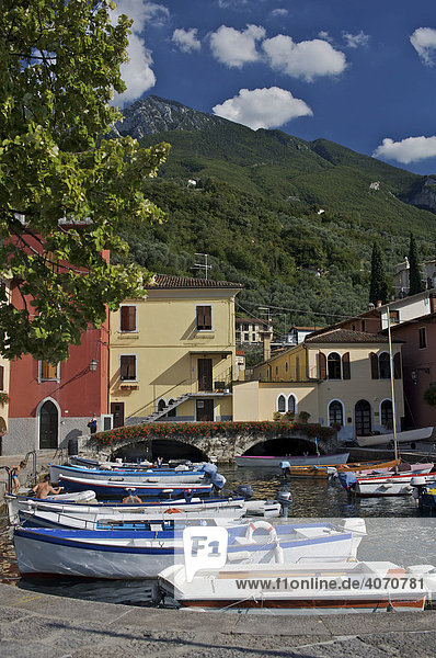 Boote im Hafen am Gardasee  Italien  Europa