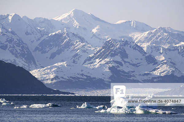 Treibende Eisblöcke  Columbia Bay Bucht  hinten der Columbia Gletscher  Pazifikküste  Prince William Sound  Alaska  USA