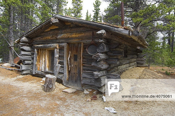 Alte Holzhütte  Pelzjäger Hütte nahe Bennett Rapids  Bennett See  Chilkoot Pass/Trail  Klondike Goldrausch  British Columbia  Kanada  Nordamerika