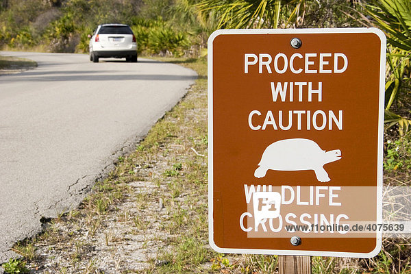 Warnschild  'Wildlife crossing'  'Vorsicht  freilebende Tiere kreuzen'  an einer Straße in einem State Park  Florida  USA