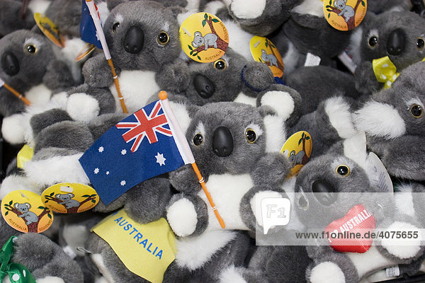 Koalas  Stofftiere  Souvenirs  Australien