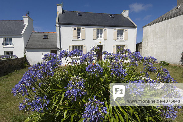Typisches Haus  Ile d'Ouessant  Bretagne  Frankreich  Europa
