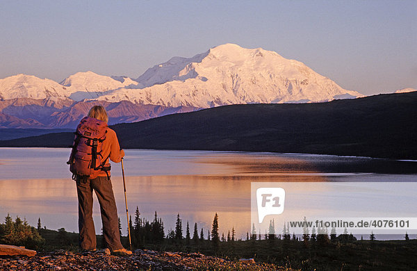 Person beim Wandern  Blick auf Mt. McKinley  Denali National Park  Alaska  Nordamerika