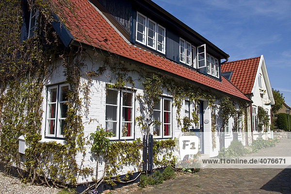 Haus in der historischen Fischersiedlung Auf dem Holm in Schleswig an der Schlei  Schleswig-Holstein  Deutschland  Europa