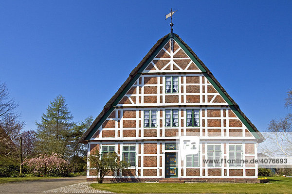 Historisches reetgedecktes Fachwerkhaus  Altländer Bauernhaus  Giebelansicht  Obstanbaugebiet Altes Land  Niedersachsen  Deutschland  Europa