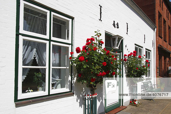 Rote Rosen vor Hauseingang  historisches Haus mit dekorativer Haustür aus Holz in Friedrichstadt  Kreis Nordfriesland  Schleswig-Holstein  Deutschland  Europa
