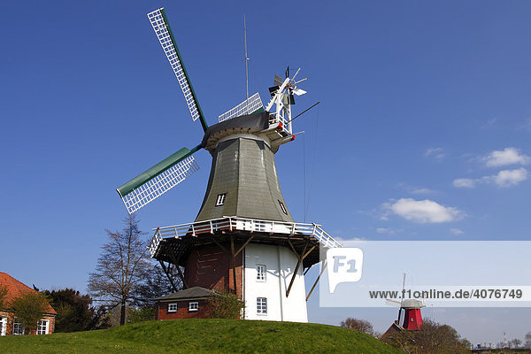 Twin mill in Greetsiel  windmill  built in the style of a two-storey Dutch gallery windmill with a wind rose  Krummhoern Greetsiel  Eastern Frisia  Lower Saxony  Germany  Europe