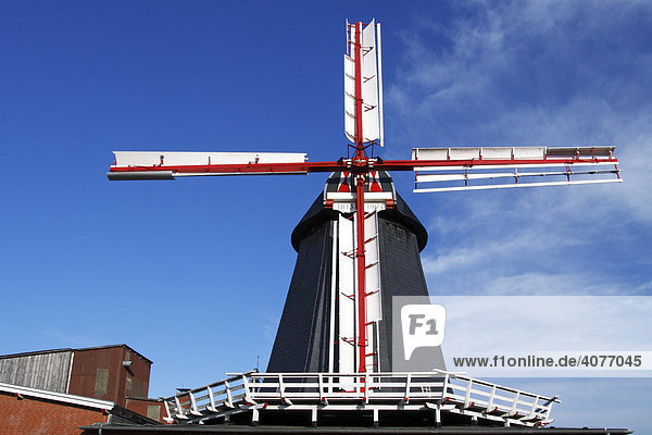 Historische Windmühle in Bardowick  Galerieholländer mit Windrose  Meyer's Windmühle  Bardowick  Landkreis Lüneburg  Niedersachsen  Deutschland