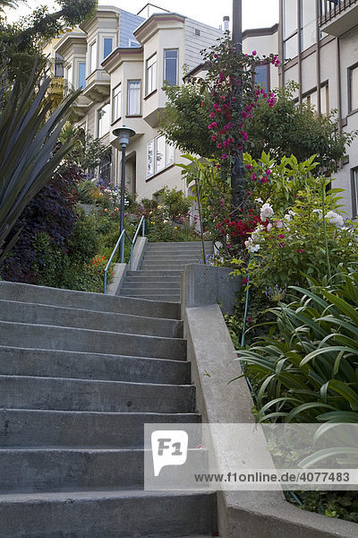 Stufen am Telegraph Hill  San Francisco  Kalifornien  USA