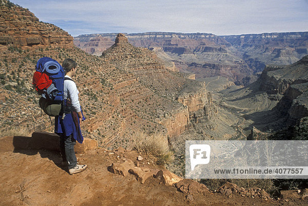 A backpacker near the top of the Bright Angel Trail in the Grand Canyon  Grand Canyon National Park  Arizona  USA