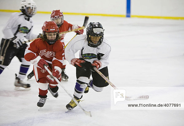 Children aged 9 and 10 play ice hockey as the Detroit Dragons  in white jerseys  play a team from suburban Detroit  Michigan  USA