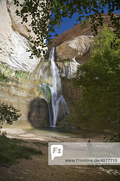 Lower Calf Creek Falls  a 126-foot waterfalls in Grand Staircase-Escalante National Monument  Escalante  Utah  USA
