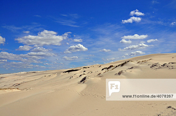 Sand dune  De Hoop Nature Reserve  South Africa  Africa