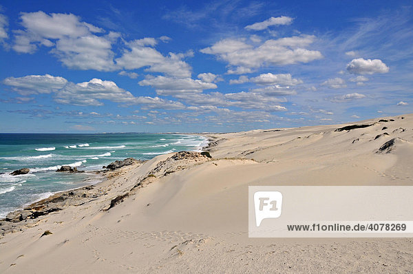 Sand dune  De Hoop Nature Reserve  South Africa  Africa