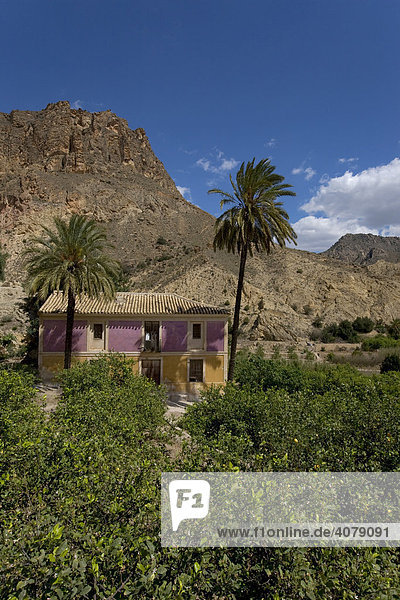 Landhaus mit Palmen im Tal von Ricote  Region Murcia  Spanien  Europa