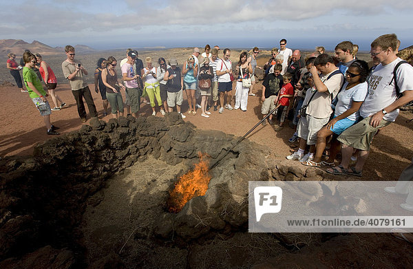 Touristen Spektakel  in der Glut heißer Lava-Asche wird gegrillt  Feuerberge des Timanfaya Nationalpark  Lanzarote  Kanarische Inseln  Spanien  Europa