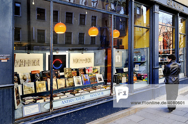 Window display  antique bookshop  Schellingstrasse  Maxvorstadt District  Munich  Bavaria  Germany