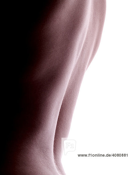 Frau  Rücken  Körper  nackt