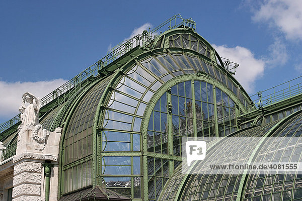 Palmenhaus im Burggarten  Glas  Reflexion (Österreich  Wien)