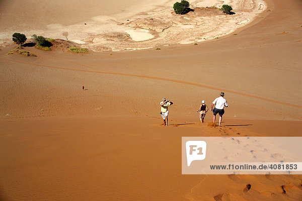 People walking down the Big Mama  second-largest sand dune in the Sossusvlei  Namibia  Africa