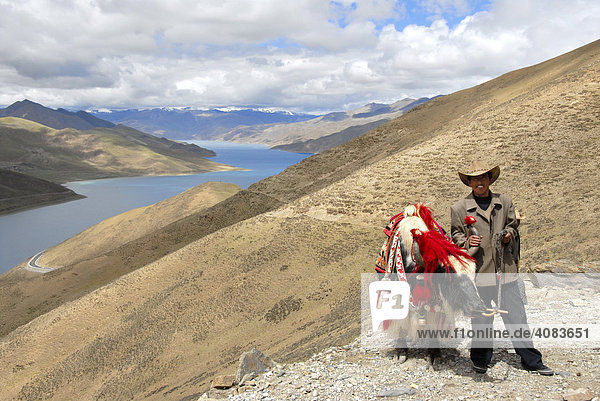 Tibetan man with decorated yak at Kamba-La Pass with view of lake Yamdrok-Tso Tibet China