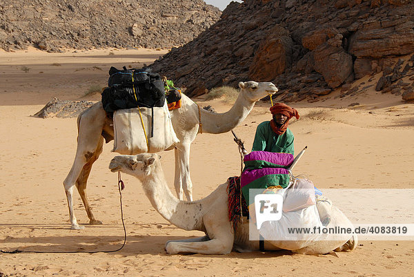 Tuareg belädt Kamele in der Wüste Akakus Libyen