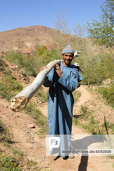 Mann in blauem Gewand trägt einen gefällten Baum durch Felder bei Ait Ali Marokko