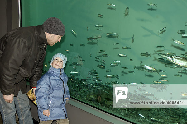 Bad Wiessee am Tegernsee Oberbayern Deutschland Aquadome Süßwasserfisch Aquarium