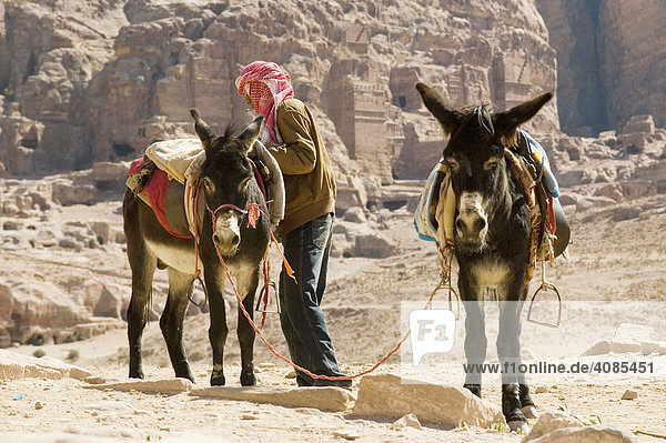 Jordanien Petra Eseltreiber warten auf Touristen
