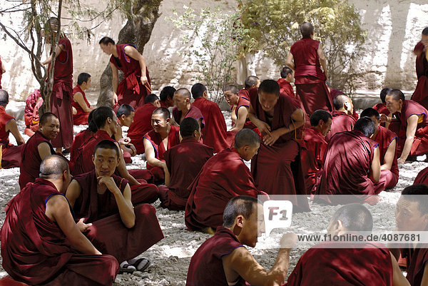 Debating monks  convent Sera  Tibet