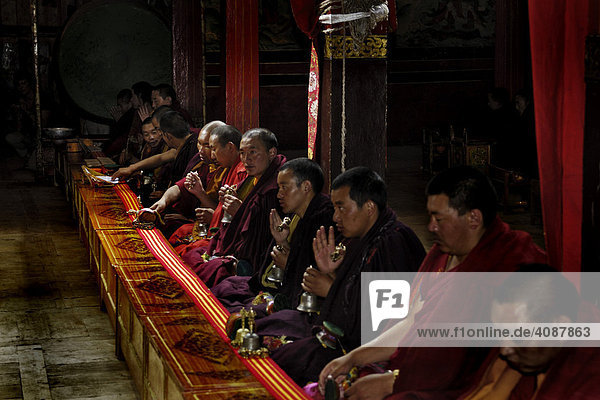 Monks of the black cap order  Tshurpu Convent near Lhasa  Tibet