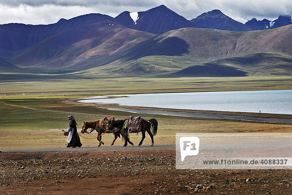 Tibetische Frauen mit Pferden  Nam-Tsho-See  höchster See der Welt  4718m  Tibet  Asien