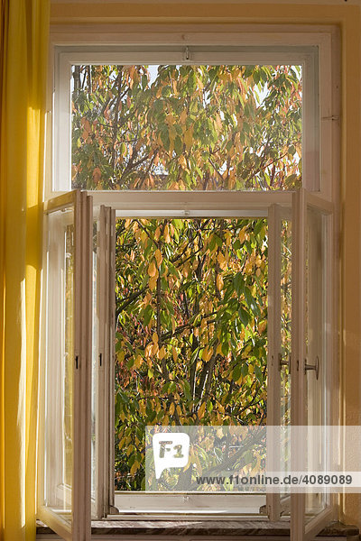 Offenes Fenster im Herbst