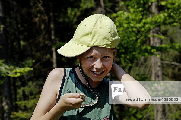 Eleven year old boy holding a Grass Snake (Natrix natrix) around his neck