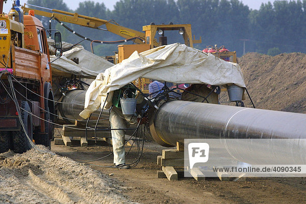 Mannheim  DEU  23.08.2001  Bau einer Gaspipeline  Erdgasleitung in der Rheinebene