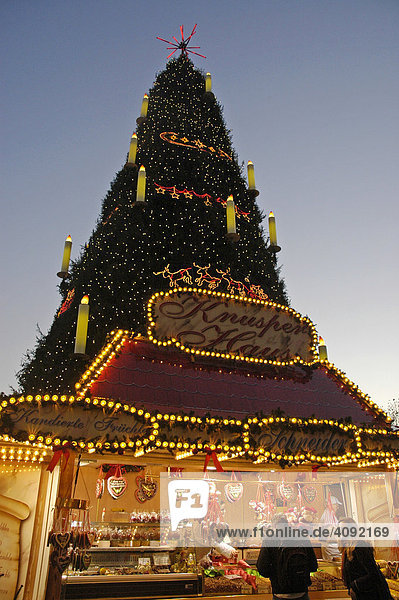 Der größte Weihnachtsbaum der Welt  45 m hoch  Weihnachtsmarkt  Dortmund  NRW  Nordrhein Westfalen  Deutschland
