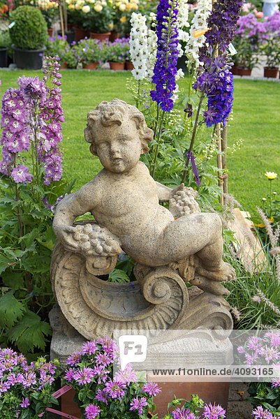 Gartendeko  Putte sitzend auf verziertem Sockel  vor Rittersporn delphinium und Indianernessel monarda