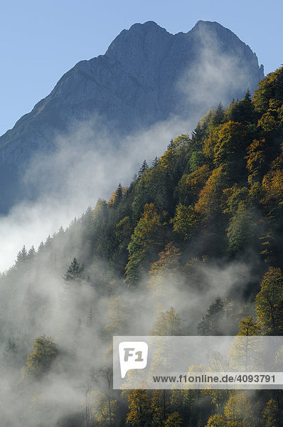 Morgennebel / Nebelstimmung im herbstlich verfärbten Karwendelgebirge