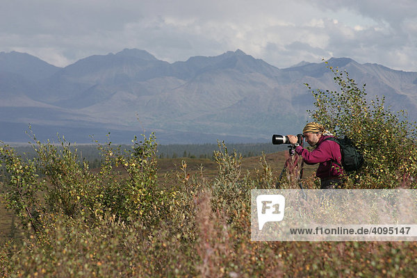 Fotograf steht im Buschwerk hinter ihm Berge der Alaska Range Alaska USA