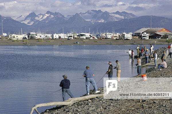 The fishing hole where salmon are artificial introduced and easily catched by the fisherman Kenai peninsula Homer Alaska USA