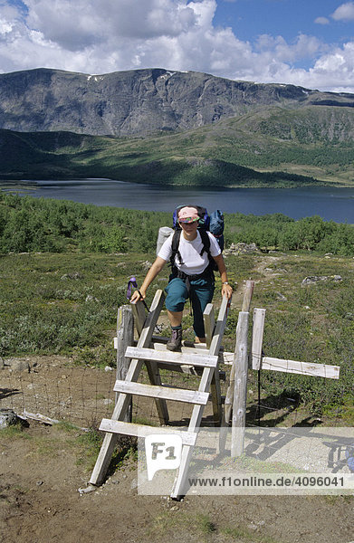 Hiker at a ladder leading over a fence on the hike to the valley Leirungsdalen  Jotunheimen  Norway